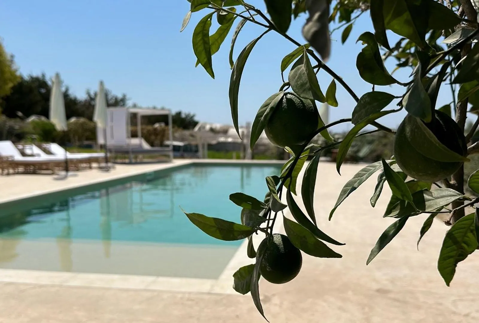 Tente de luxe Ciriga Sicily Glamping Resort Santa Maria Del Focallo